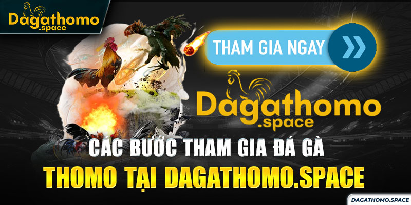 Các bước tham gia đá gà thomo tại Dagathomo.space